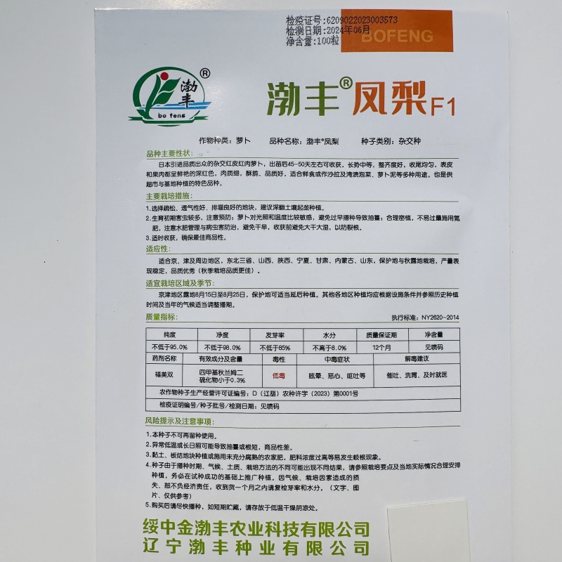 早熟水果萝卜种子口感脆甜预甜火龙果水果萝卜种子高端萝卜种