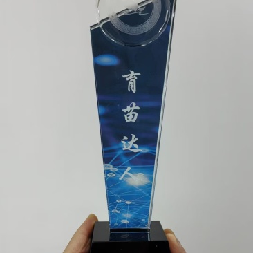 哈密冰糖心红薯种苗脱毒原种冷棚育苗，高剪苗，扩繁苗齐全