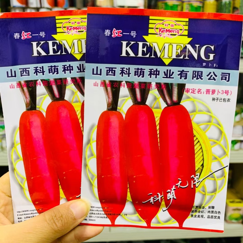 早春夏秋水果萝卜种子早熟耐热夏秋季播红皮萝卜种子不易糠心