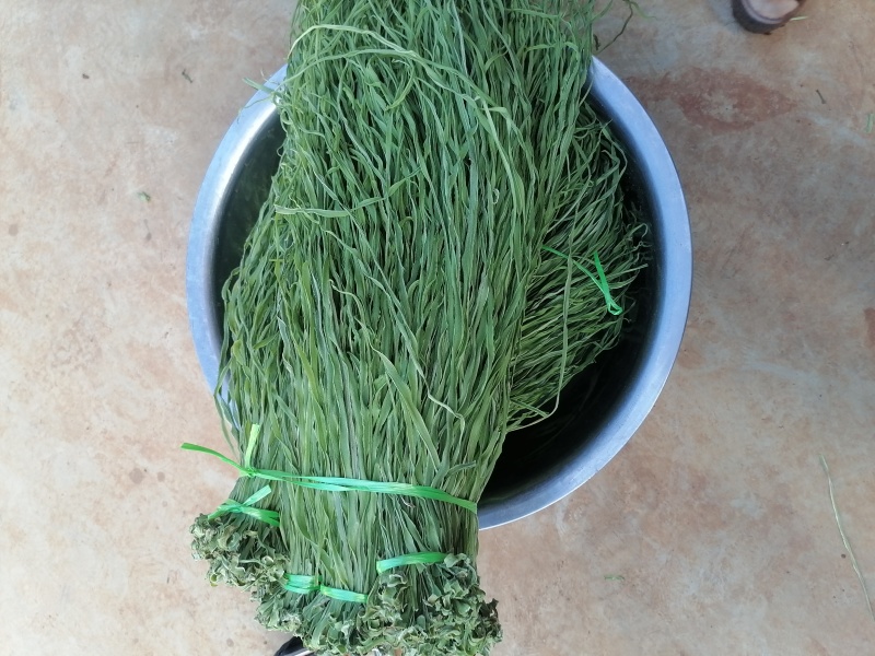 新鲜大理贡菜，当地特色，品质保证，**特惠！