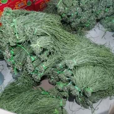 新鲜大理贡菜，当地特色，品质保证，**特惠！