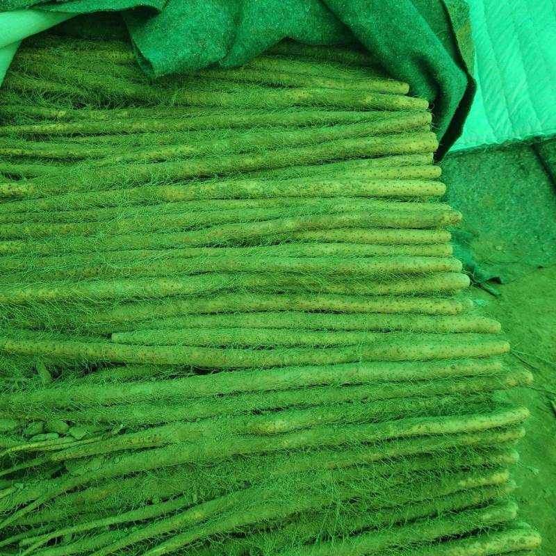 山西万荣铁棍山药口感绵脆，条形中直，5678主流，中粗