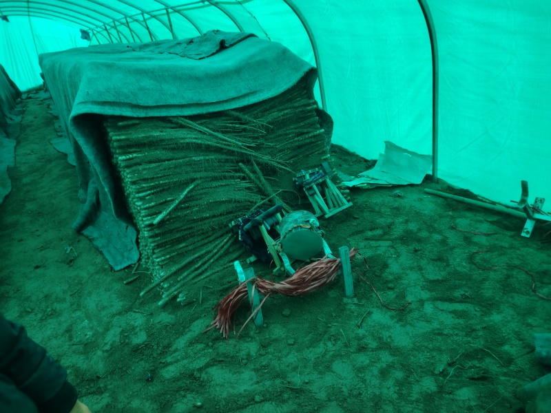 山西万荣铁棍山药口感绵脆，条形中直，5678主流，中粗