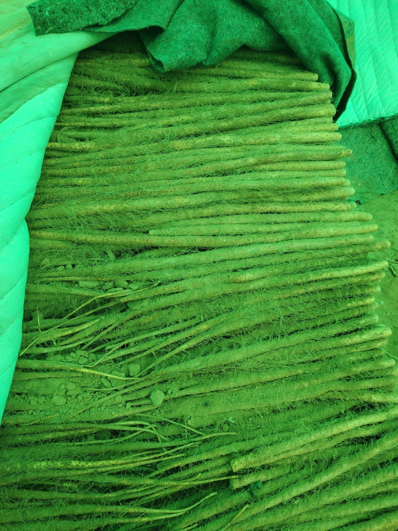 山西万荣铁棍山药口感绵脆，条形中直，5678主流，中粗