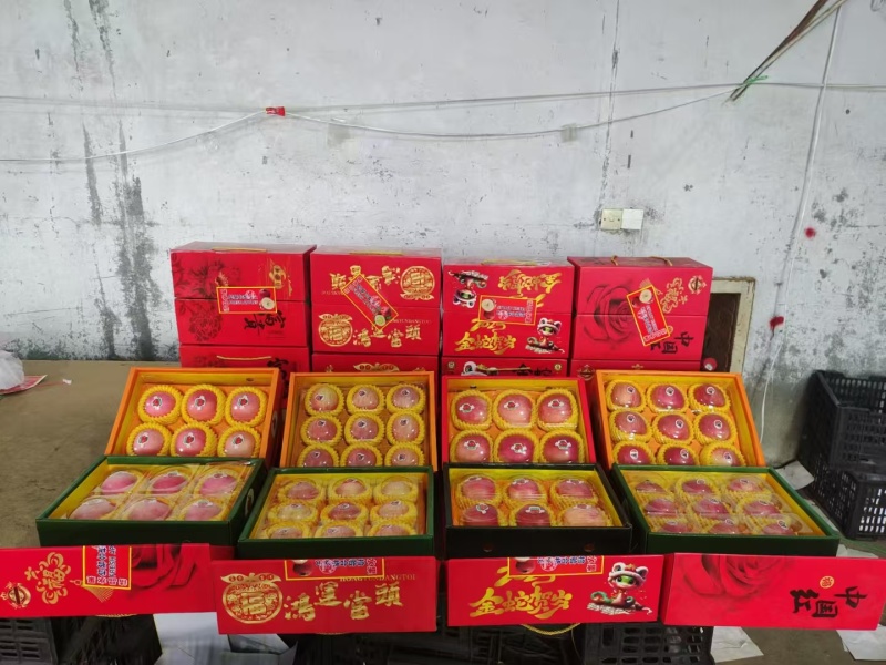 精致彩盒苹果批发，全国发货，量大从优，可视频看货