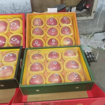 精致彩盒苹果批发，全国发货，量大从优，可视频看货