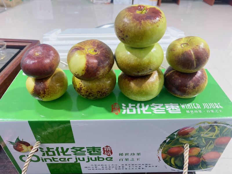 冬枣新品种三代