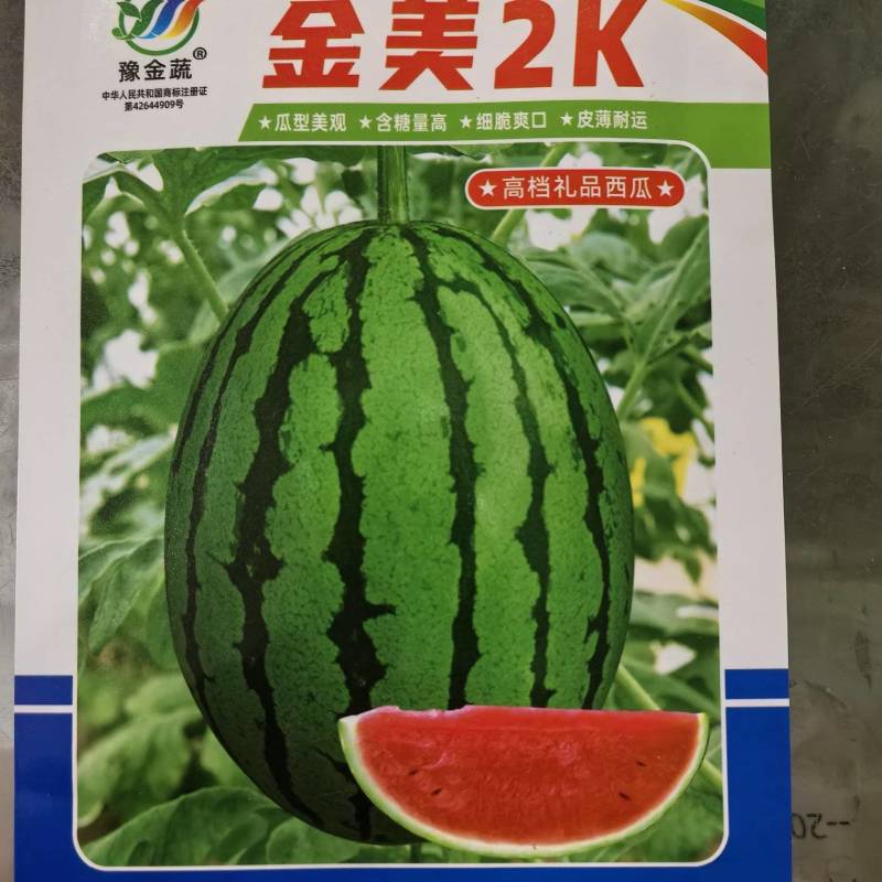 金美2K高品质礼品西瓜单瓜重1.5一2.5公斤