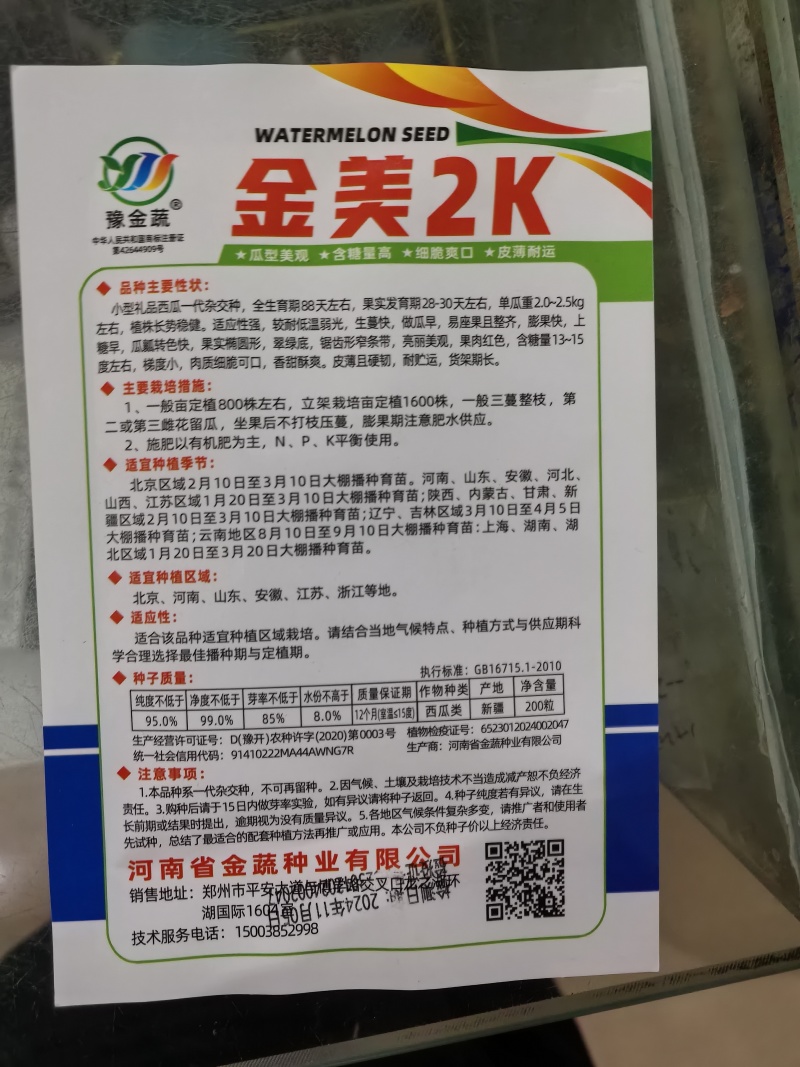 金美2K高品质礼品西瓜单瓜重1.5一2.5公斤