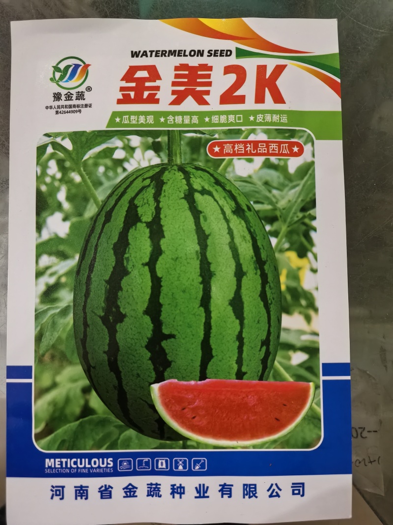 金美2K高品质礼品西瓜单瓜重1.5一2.5公斤