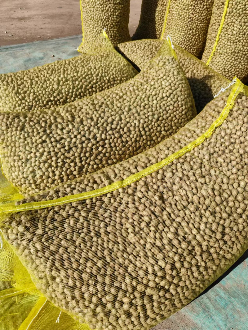 山药豆中豆1公分到1.3公分之间的电商货白玉山药豆量大优