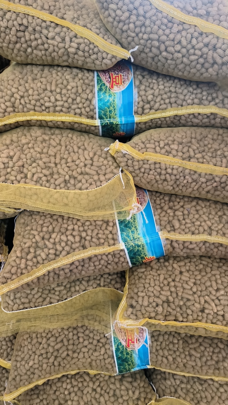 山东山药豆批发山药豆山药豆供应白玉山药豆原产地