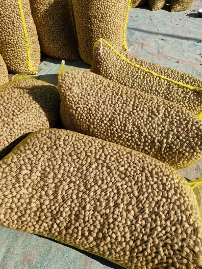 山东山药豆批发山药豆山药豆供应白玉山药豆原产地