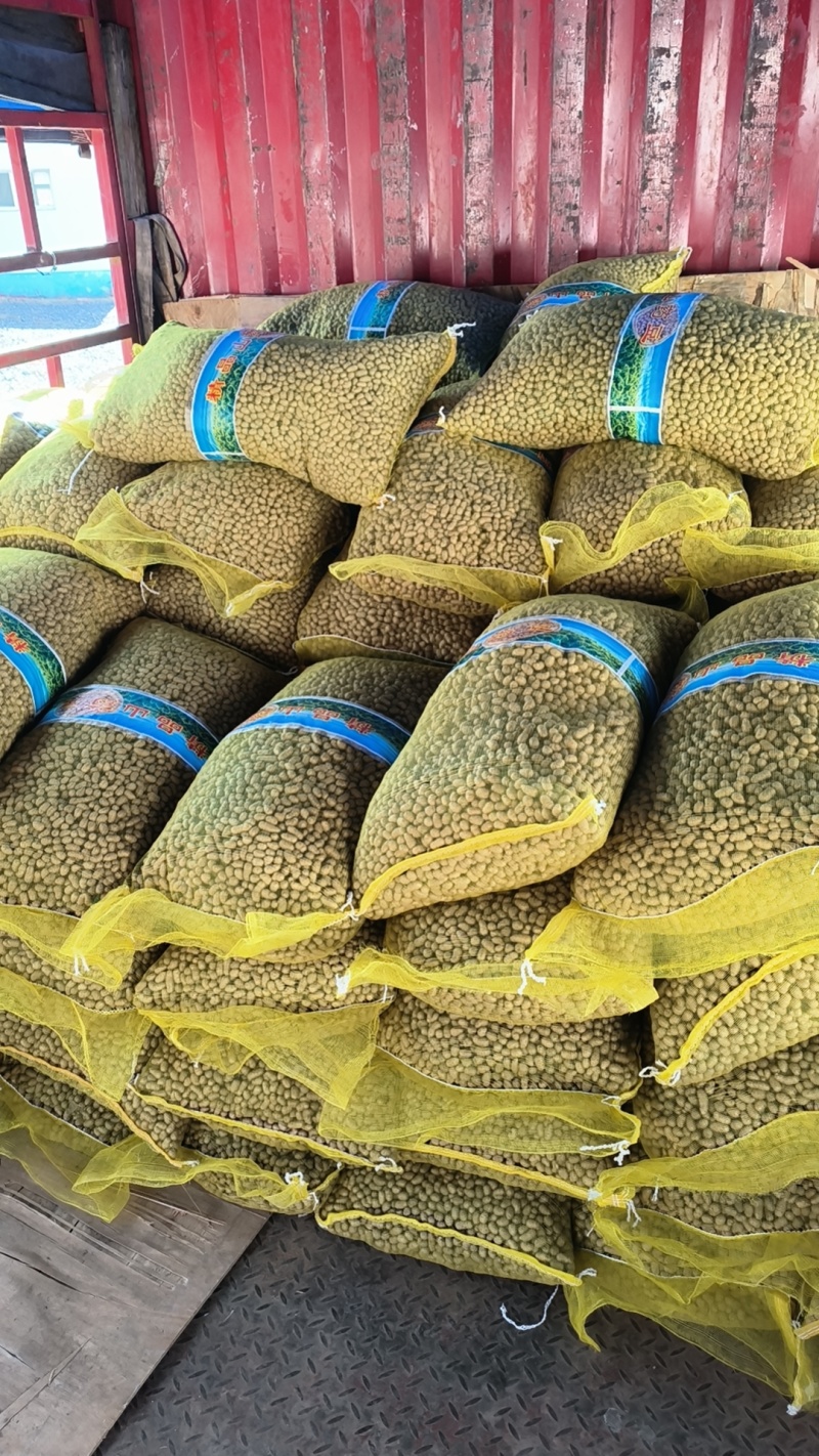 山东山药豆批发山药豆山药豆供应白玉山药豆原产地