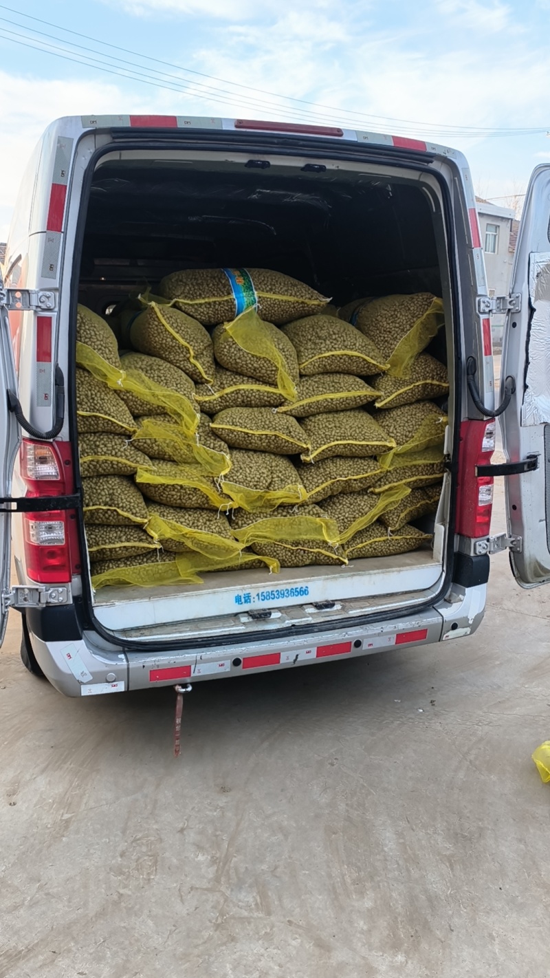 山药豆精选白玉山药豆批发，零售潍坊市青州白玉山药豆原产地