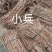 小叶千斤拔药材产地一手货源大量供应