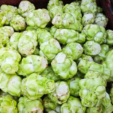精品优质榨菜