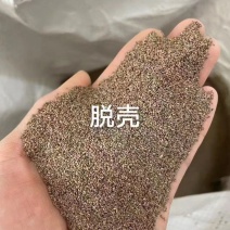 进口狗牙根草籽种子耐寒耐热四季常青见水就活发芽率高