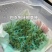 进口狗牙根草籽种子耐寒耐热四季常青见水就活发芽率高