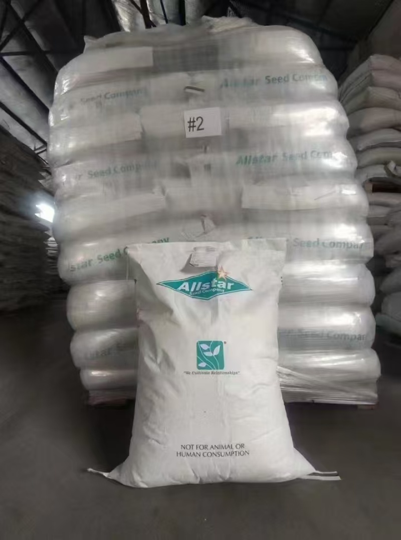 进口狗牙根草籽种子耐寒耐热四季常青见水就活发芽率高