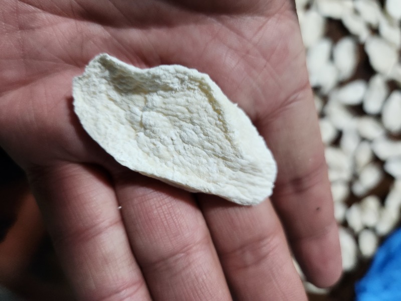 铁棍山药无硫片柳叶片原片片马蹄片中药材山药干