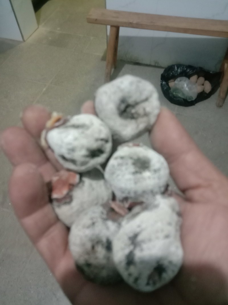 柿饼