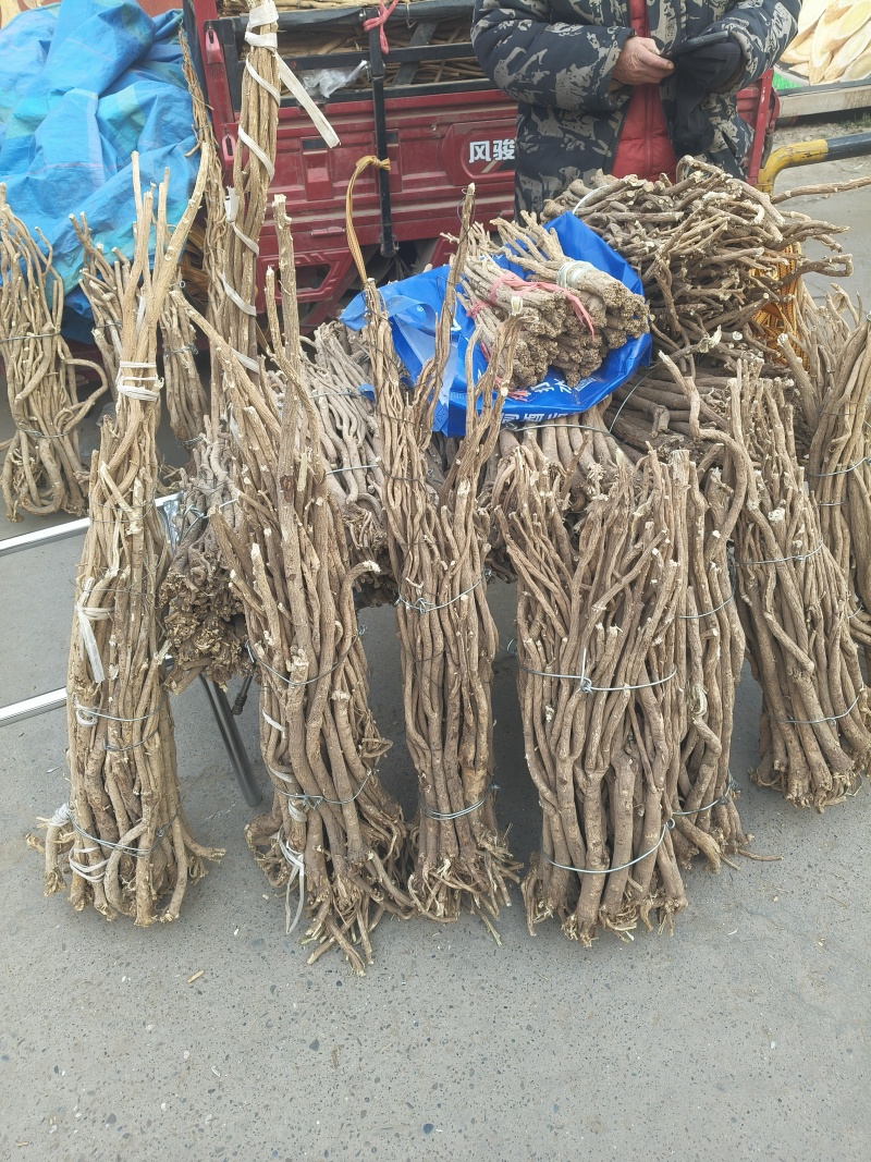 甘肃岷县野生黄芪正北芪包邮