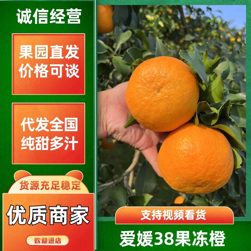 【优选】四川爱媛38果冻橙，基地大量新鲜供应对接市场批发