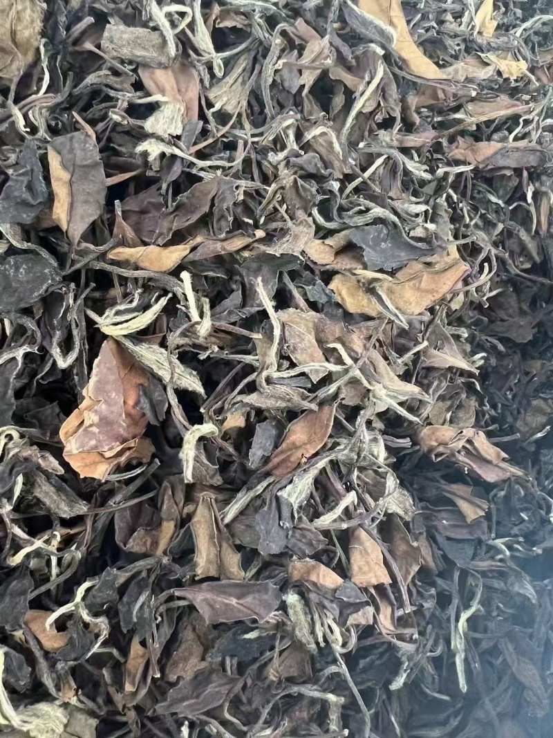 福鼎白茶寿眉20年包邮