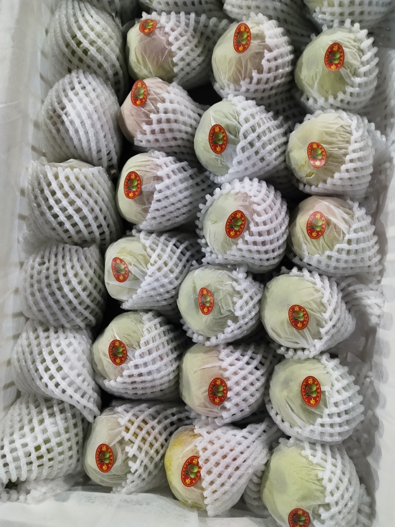 新疆库尔勒香梨