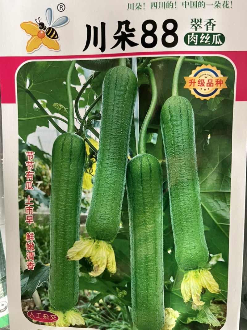 川朵88肉丝嫩丝瓜