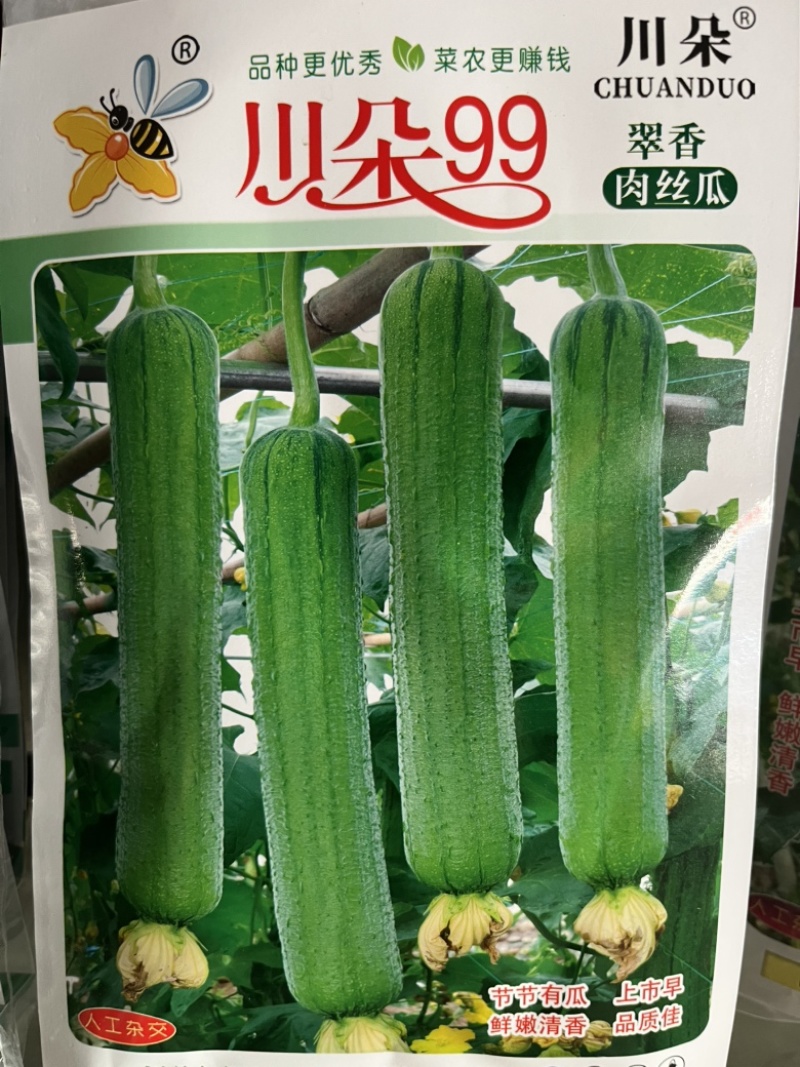 川朵99肉丝瓜，