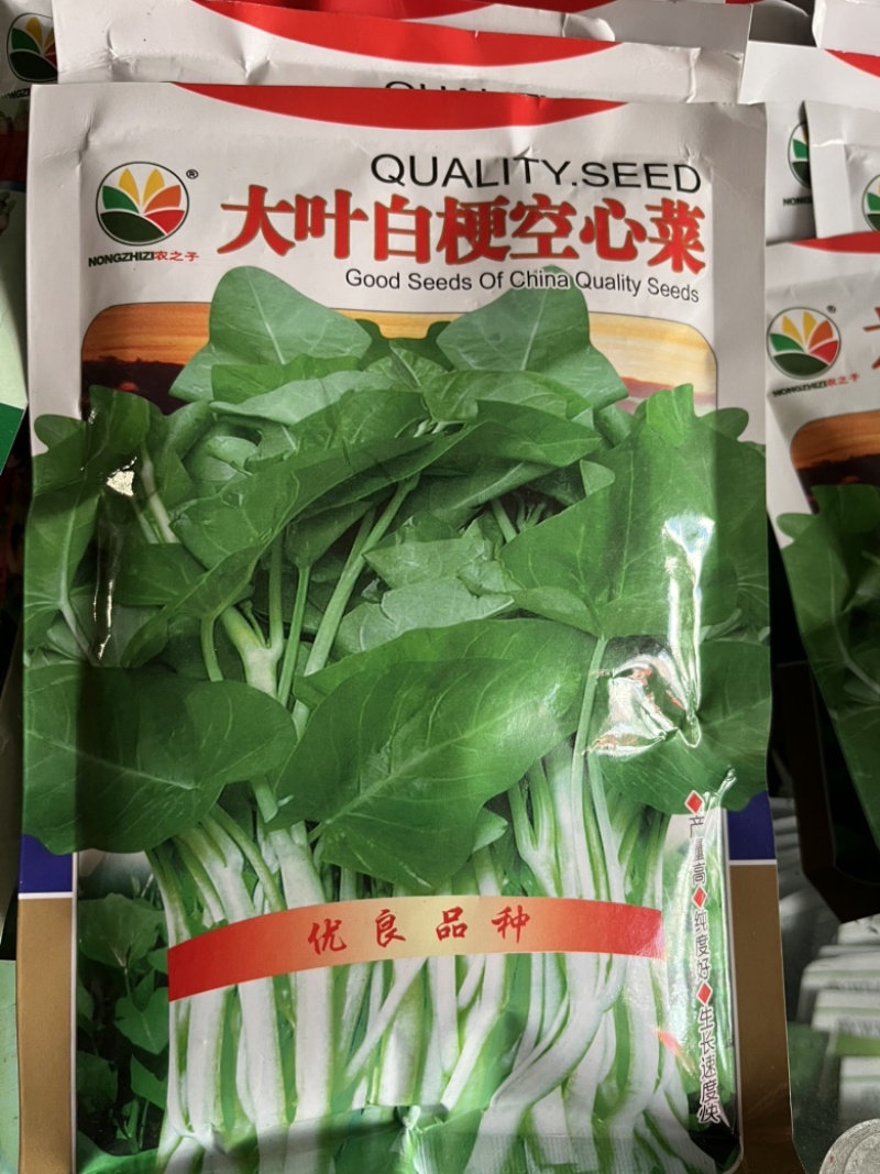 大叶红心菜白梗