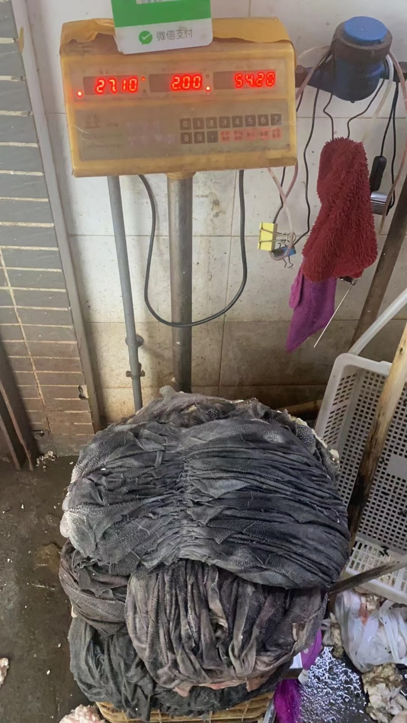 鲜毛肚