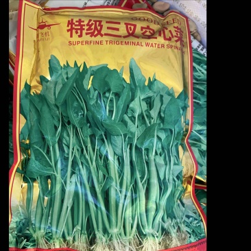 特级三叉空心菜，高纯度出芽粒非常高