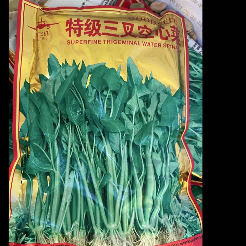 特级三叉空心菜，高纯度出芽粒非常高