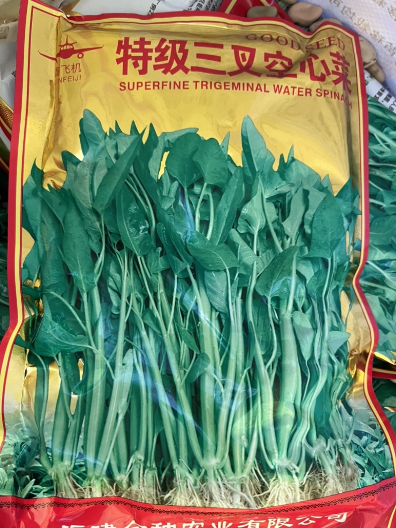特级三叉空心菜，高纯度出芽粒非常高