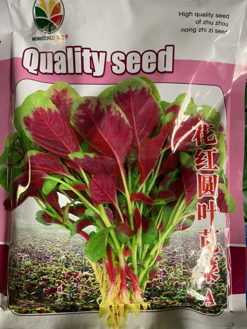 花红园叶苋菜