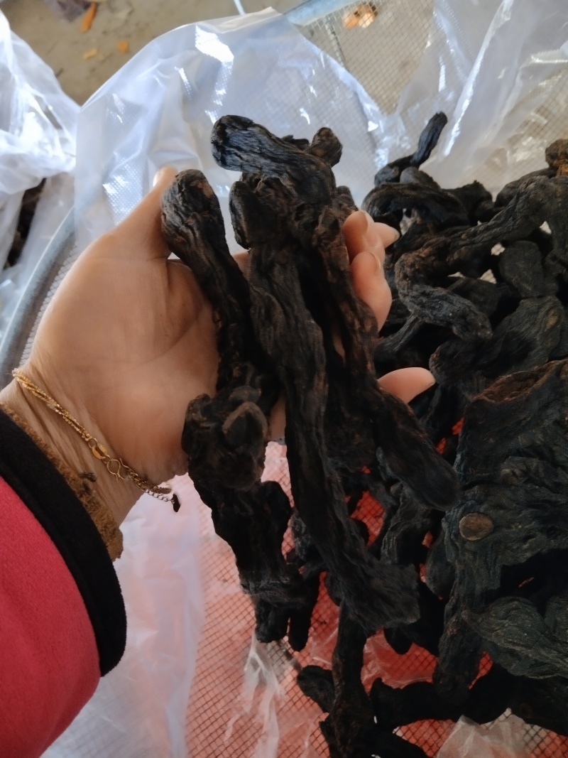 黄精一一一野生黄精九蒸九晒批发营养你我他