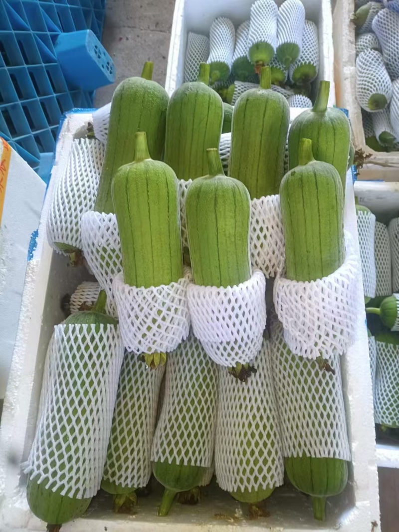 精品肉丝瓜