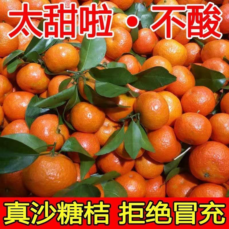 【电商代发】正宗沙糖桔应季水果新鲜现摘砂糖桔薄皮2/10斤整