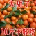 【电商代发】正宗沙糖桔应季水果新鲜现摘砂糖桔薄皮2/10斤整