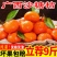 【电商代发】正宗沙糖桔应季水果新鲜现摘砂糖桔薄皮2/10斤整