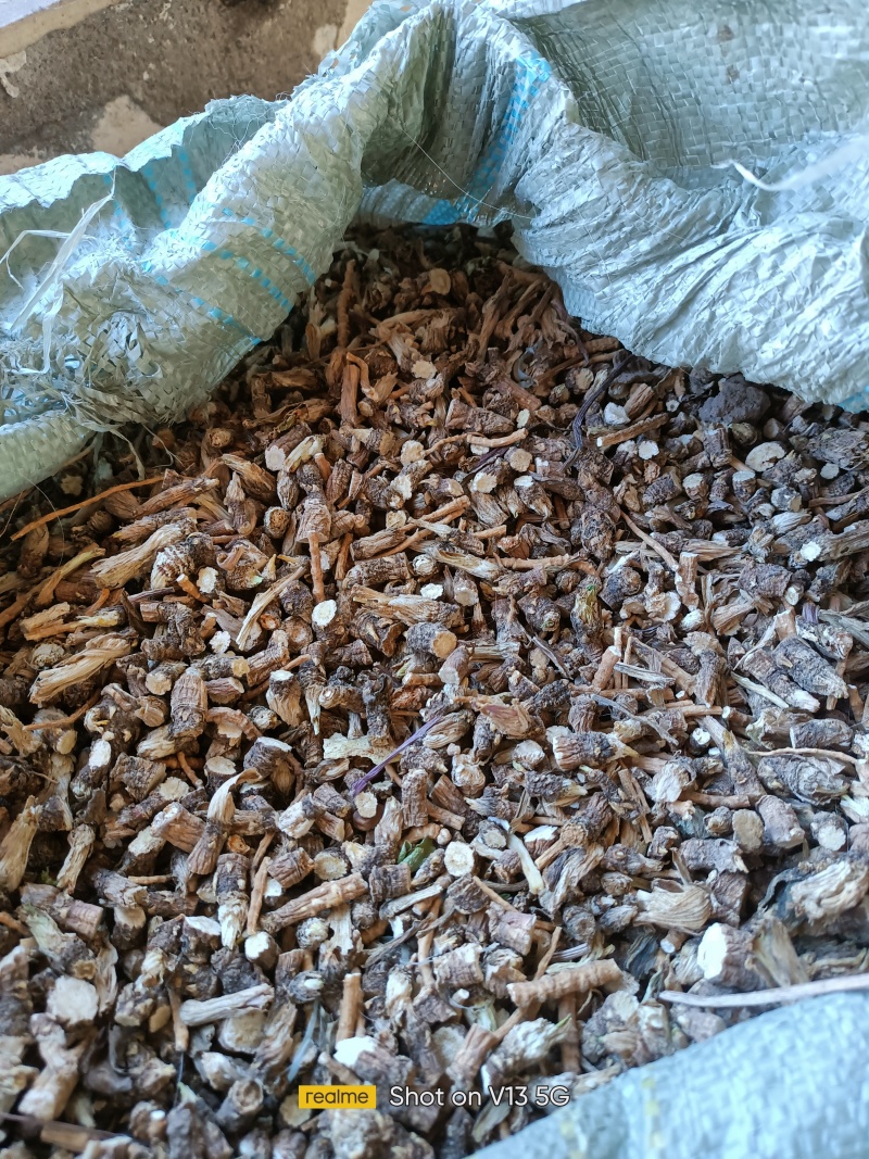 北沙参头，下角料内蒙赤峰市喀喇沁旗牛营子药材之乡种植户
