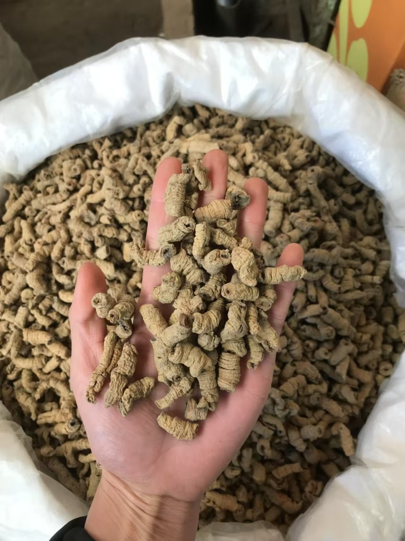 巴戟天优质好货现货秒发质量保证