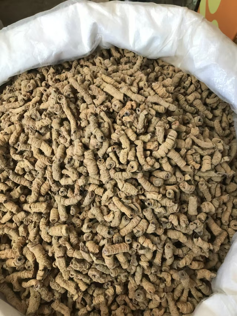 巴戟天优质好货现货秒发质量保证