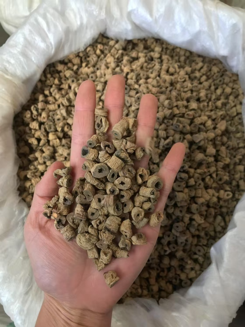 巴戟天优质好货现货秒发质量保证