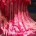 冻牛排大量现货，满肉牛排