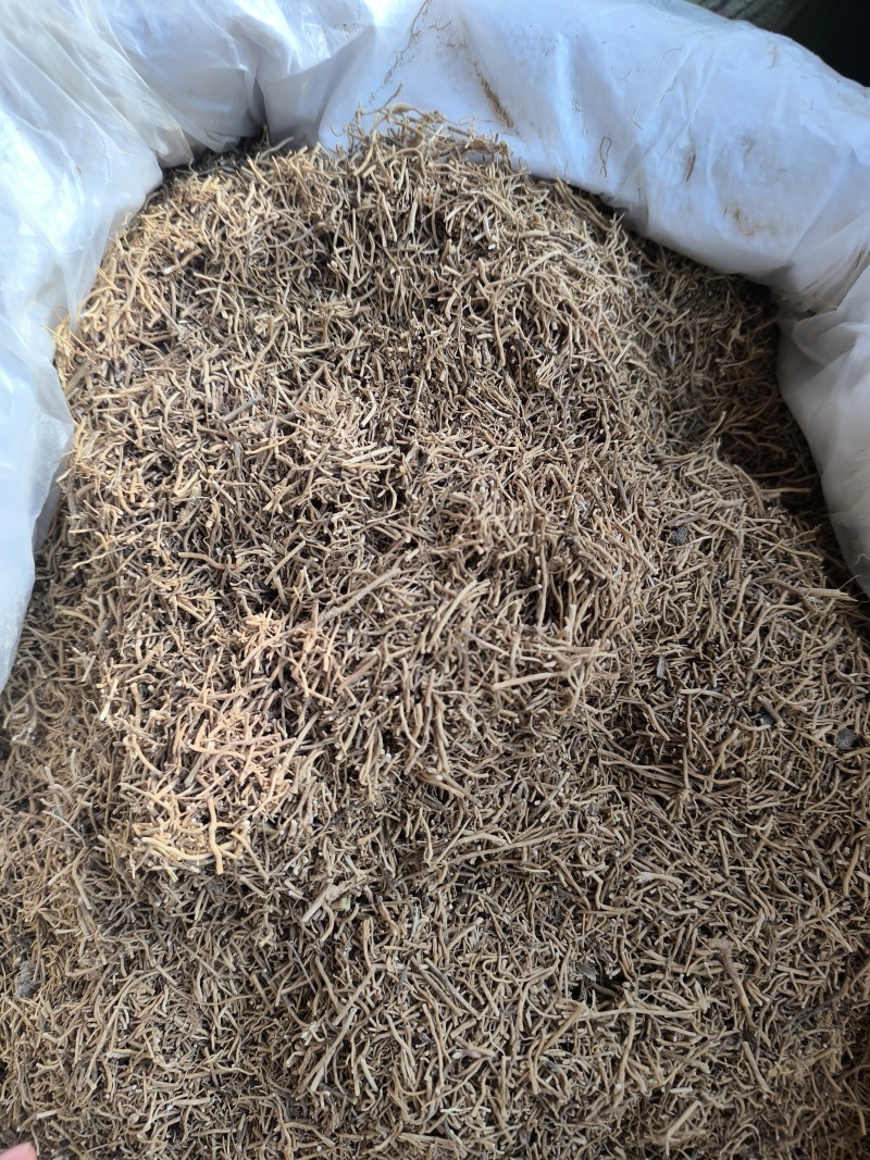 徐长卿新货徐长卿无硫中药材可打粉徐长青了寮
