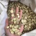 甘草片甘草丁优质好货价格优惠品质保证